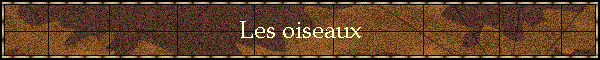 Les oiseaux